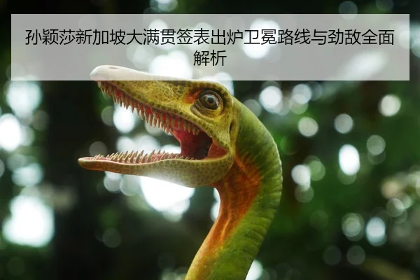 孙颖莎新加坡大满贯签表出炉卫冕路线与劲敌全面解析