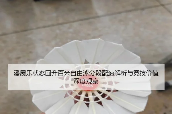 潘展乐状态回升百米自由泳分段配速解析与竞技价值深度观察