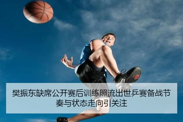 樊振东缺席公开赛后训练照流出世乒赛备战节奏与状态走向引关注